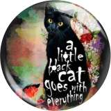 20MM Cat  pattern Print glass snap button charms