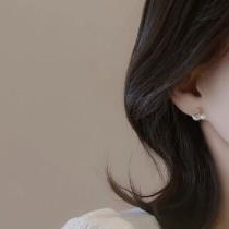 Starfish Shell Pearl Earrings