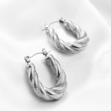 Stainless steel twisted snake chain double-layer earrings