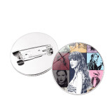 Taylor Swift alloy brooch