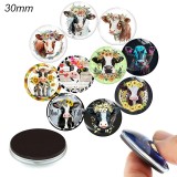 10pcs/lot  glass picture printing products of various sizes  Fridge magnet cabochon
