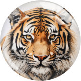20MM tiger Print glass snap button charms