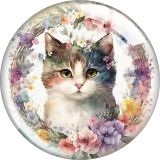 20MM cat Print glass snap button charms