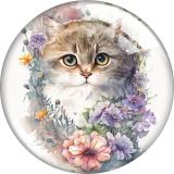20MM cat Print glass snap button charms