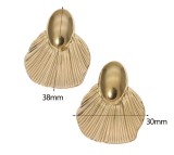 Stainless steel  earrings