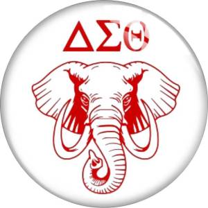 20MM college sororities and fraternities symbols glass snap button charms