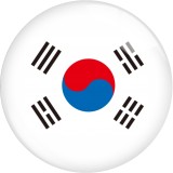 20MM FIFA World CUP Soccer Football flag  glass snap button charms