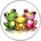 20MM frog Print glass snap button charms