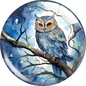 20MM owl glass snap button charms