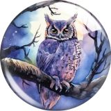 20MM owl glass snap button charms