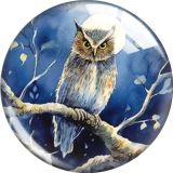 20MM owl glass snap button charms