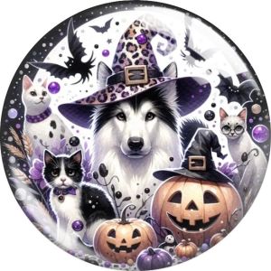 20MM Halloween cats and dogs Cartoon  glass snap button charms