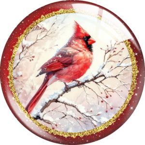 20MM bird glass snap button charms