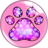 20MM Dog paw print glass snap button charms