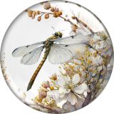 20MM dragonfly glass snap button charms