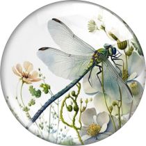 20MM dragonfly glass snap button charms