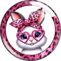 20MM animal glass snap button charms