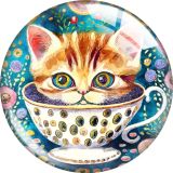 20MM cat glass snap button charms