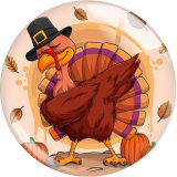 20MM 10Pcs/lot Turkey Thanksgiving Print glass snap button charms