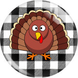 20MM 10Pcs/lot Turkey Thanksgiving Print glass snap button charms