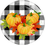 20MM 10Pcs/lot Turkey Thanksgiving Print glass snap button charms