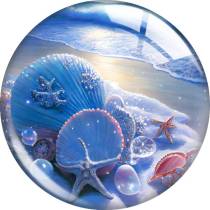 20MM 10pcs/lot Ocean shell pearls glass snap button charms
