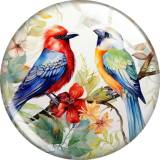 20MM 10pcs/lot bird Print glass snap button charms