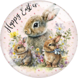 20MM 10Pcs/lot Rabbit Easter Print glass snap button charms
