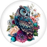 20MM 10pcs/lot Flower color owl  Print glass snap button charms
