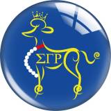 20MM 10pcs/lot sigma gamma rho glass snap button charms