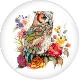 20MM 10pcs/lot Flower color owl  Print glass snap button charms