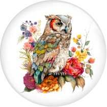 20MM 10pcs/lot Flower color owl  Print glass snap button charms