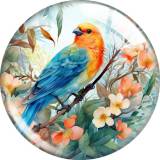 20MM 10pcs/lot bird Print glass snap button charms