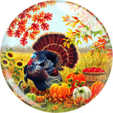 20MM 10Pcs/lot Turkey Thanksgiving Print glass snap button charms