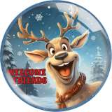 20MM 10Pcs/lot Christmas  Deer Thanksgiving pumpkin Print glass snap button charms