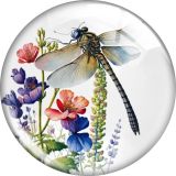 20MM 10pcs/lot dragonfly glass snap button charms