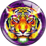 20MM 10pcs/lot tiger Print glass snap button charms