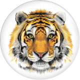 20MM 10pcs/lot tiger Print glass snap button charms