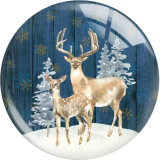 20MM 10Pcs/lot Christmas Print glass snap button charms