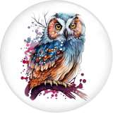 20MM 10pcs/lot Flower color owl  Print glass snap button charms