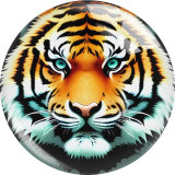 20MM 10pcs/lot tiger Print glass snap button charms