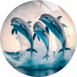 20MM 10Pcs/lot dolphin Print glass snap button charms