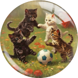 20MM 10Pcs/lot Football Space Cat Print glass snap button charms