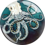 20MM 10Pcs/lot animal glass snap button charms