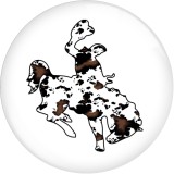 20MM 10pcs/lot Western Cowboy Totem  Print glass snap button charms
