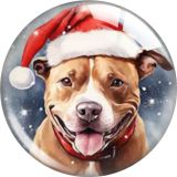 20MM 10pcs/lot Christmas Cartoon  glass snap button charms