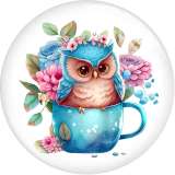 20MM 10pcs/lot Flower color owl  Print glass snap button charms