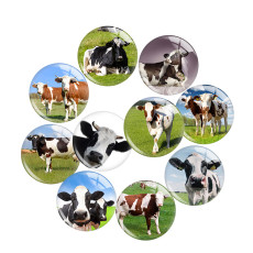 20MM 10pcs/lot cow  Print glass snap button charms