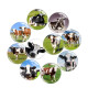20MM 10pcs/lot cow  Print glass snap button charms