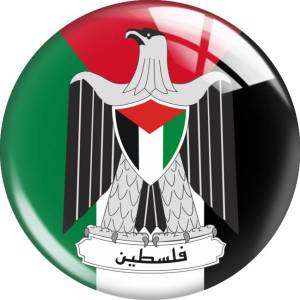 20MM 10pcs/lot free palestine Print glass snap button charms